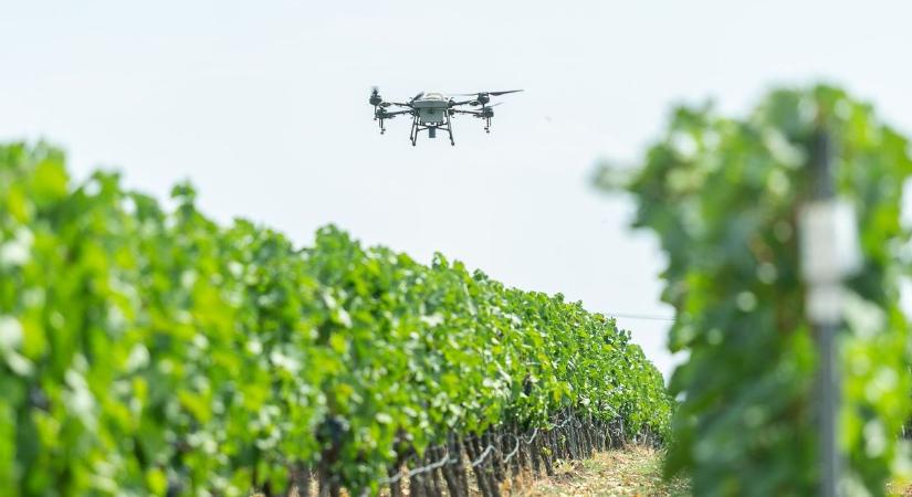 Szabolcsi lett az év egyik legjobb agrárszakembere – mutatjuk, ki ő!