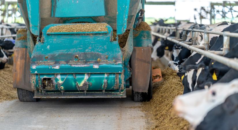 Elárulta a szakember: van, amiből csak a legjobb elég jó a magyar gazdáknak