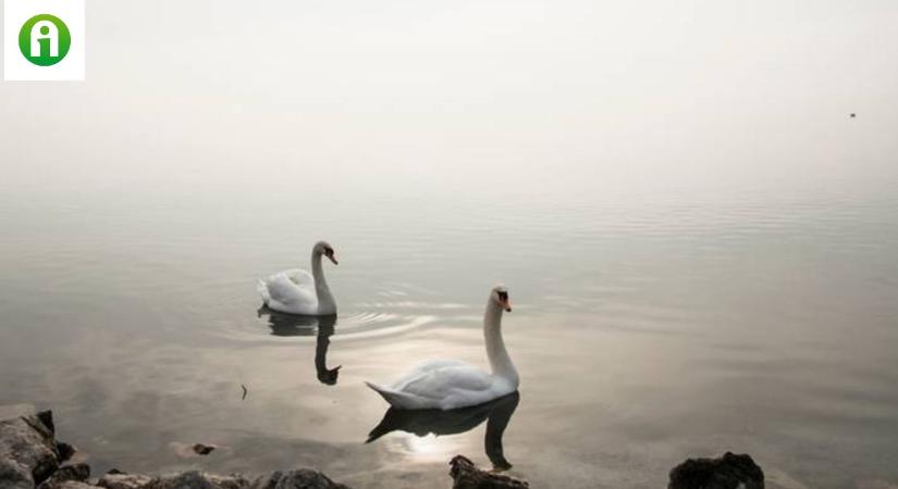 Miért nem fagyott be a Balaton a legnagyobb hidegben sem?