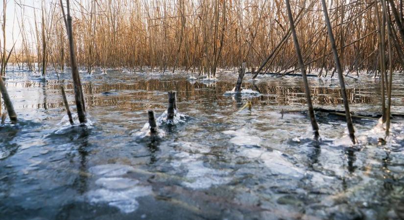 Miért nem fagyott be a Balaton a februári hidegben?