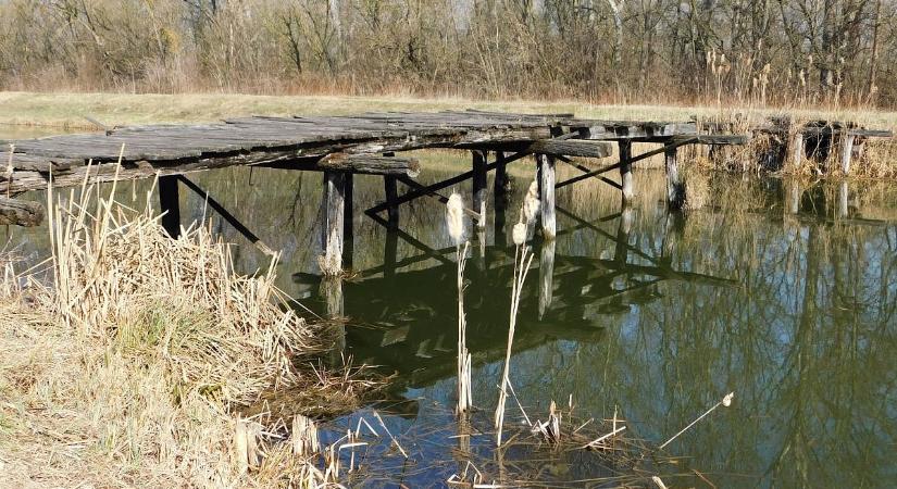 Elbontottak egy népszerű balatoni építményt