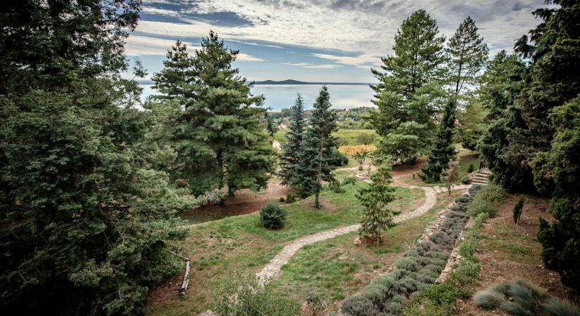 Nem mindennapi fotópályázatot hirdet a Folly Arborétum