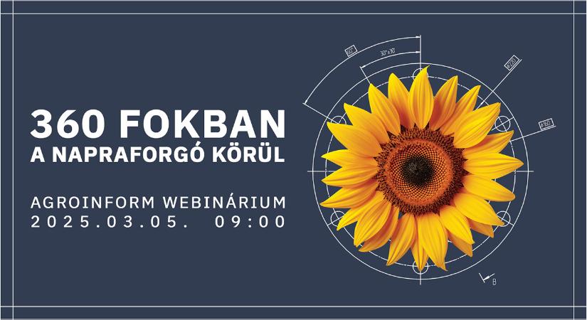 360 fokban a napraforgó körül Agroinform webinárium