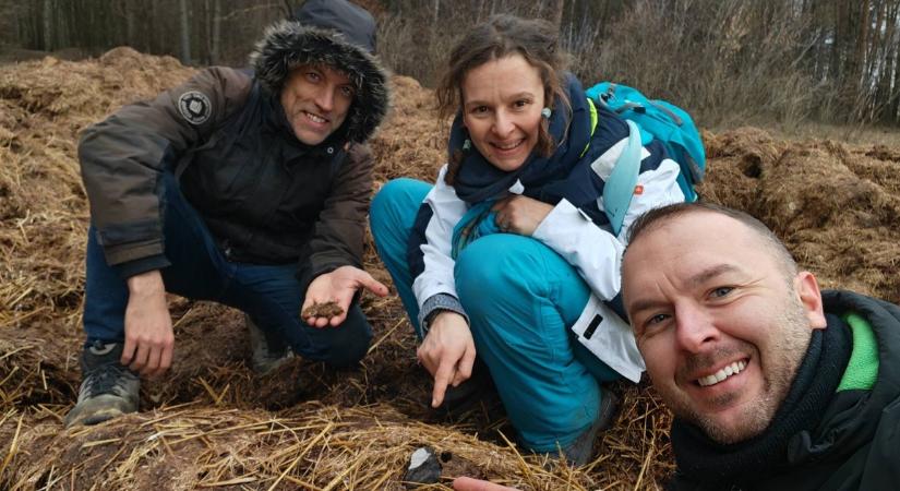 Magyar meteorvadászok találták meg az űrsziklát – Trágyába esett a Lengyelország fölött felrobbant kő