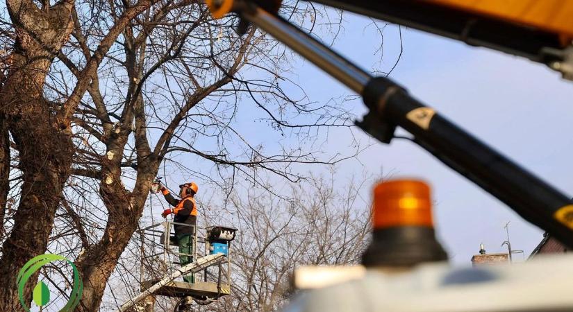 Napokig nem lehet parkolni ebben a szolnoki utcában – mutatjuk az okokat