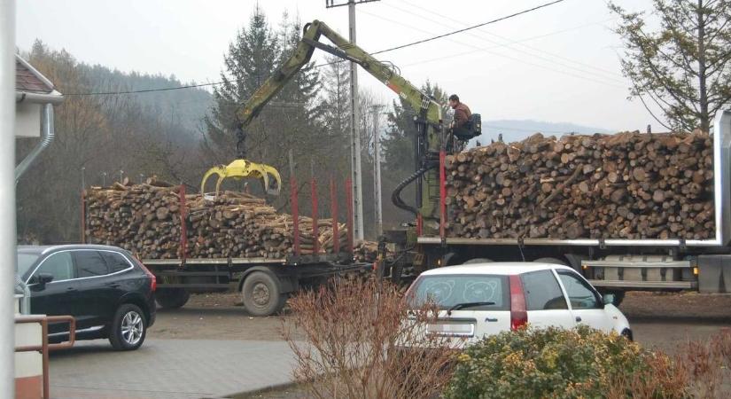 Nem aprózta el a berettyóújfalui férfi, több ilyen vállalkozóra lenne szükség