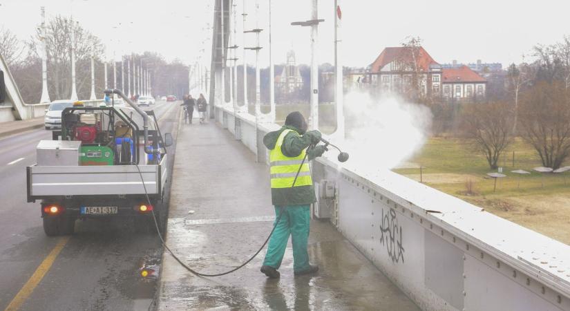 Esernyővel védekeznek a járókelők a nyakukba hulló galambpiszok ellen