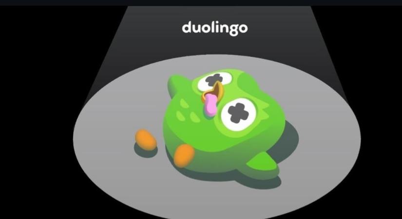 Rejtélyes halálból marketingfogás: így lett a Duolingo baglya virális szenzáció