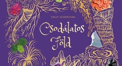 Cally Oldershaw: Csodálatos Föld