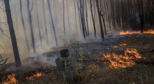 A háború elfeledett áldozata: a természeti környezet