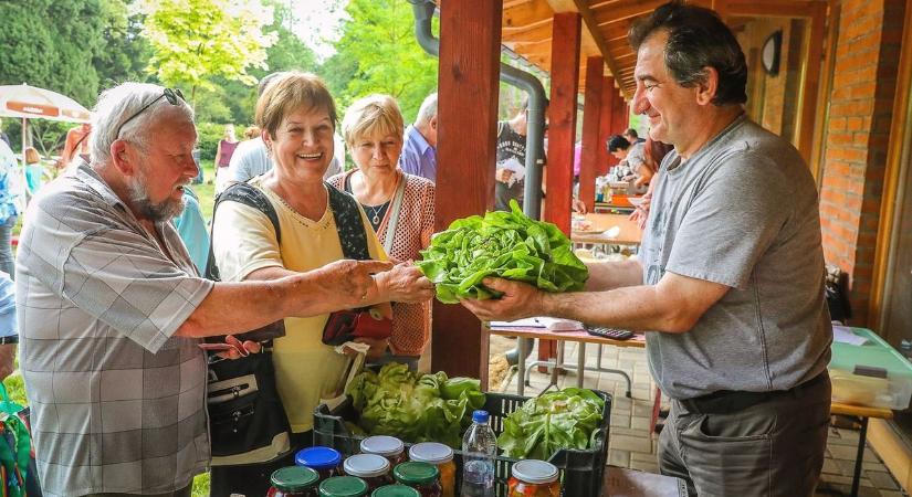 Sárváron is elindul a Zöld Kosár bevásárlóközösség