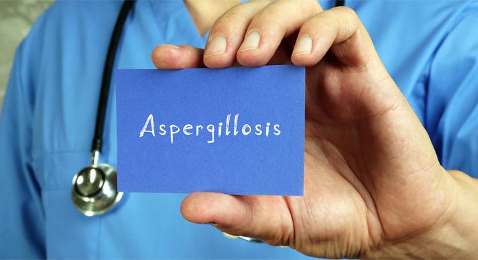 Aspergillosis (Aspergillus gomba okozta fertőzés)