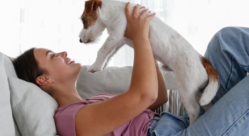 6 kutyafajta, mely örökké jókedvű, a társaságában pedig garantált a mosoly