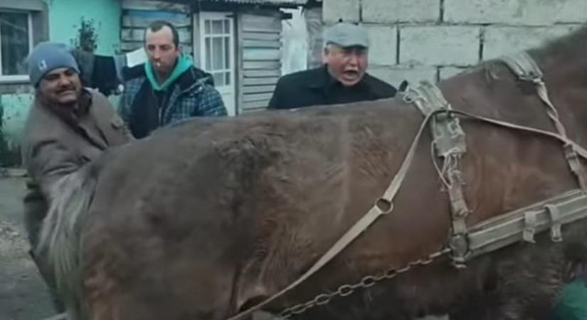 Egy Facebook-videó buktatta le az állatkínzót Kárpátalján