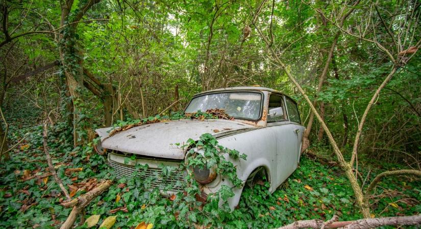 Trabant az udvaron, gyógyszerek az asztalon - 28 éve állt meg az idő ebben az elhagyott zalai házban