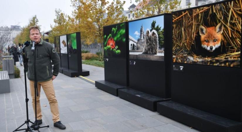 Potyó Imre kapta A magyar természetfotó nagydíját