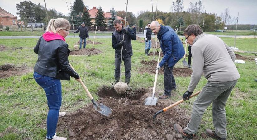 Szombaton ezt osztják ingyenesen