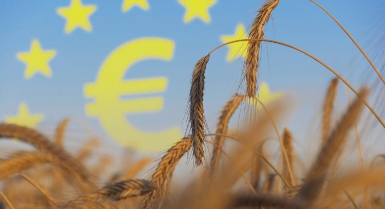 Egyre zavarosabb, mit vár az EU az agráriumtól