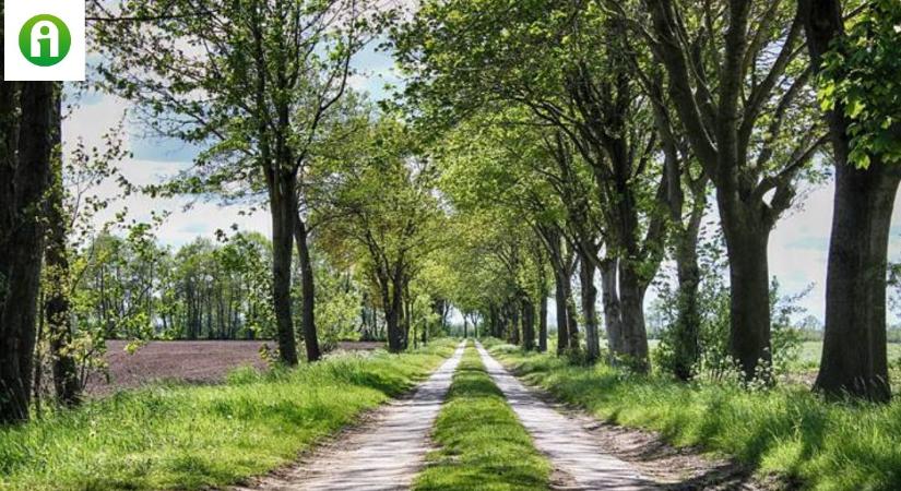 30 napos időjárás-előrejelzés: Márciusban újra lecsaphat ránk a tél?