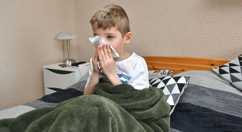 Csúcson az influenza: fertőző beteg miért utazhat a helyi járaton?