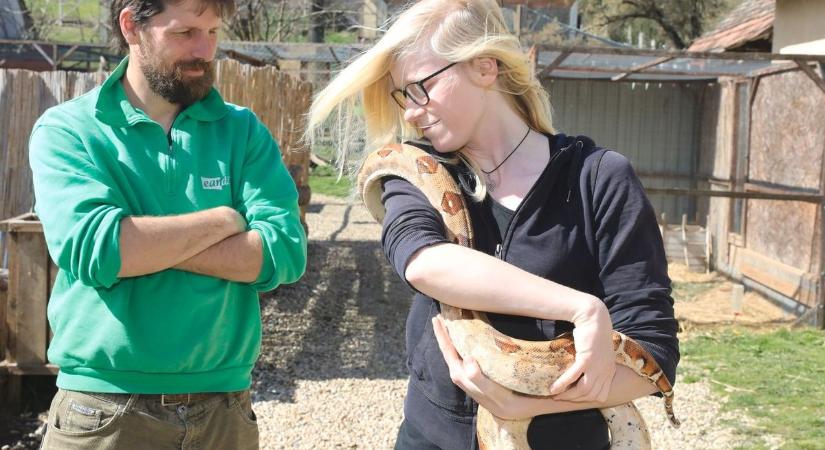 Újranyit a Mecske Zoo, ahol kígyót is lehet simogatni – VIDEÓ