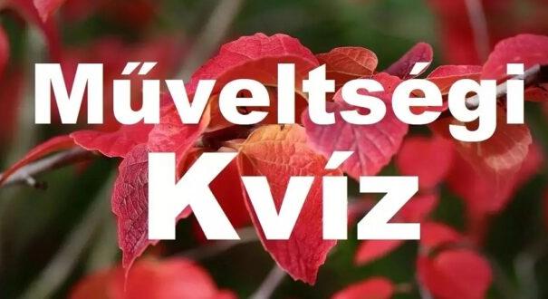 Műveltségi kvíz: Ez a teszt sem könnyű, cserébe érdekes (435)