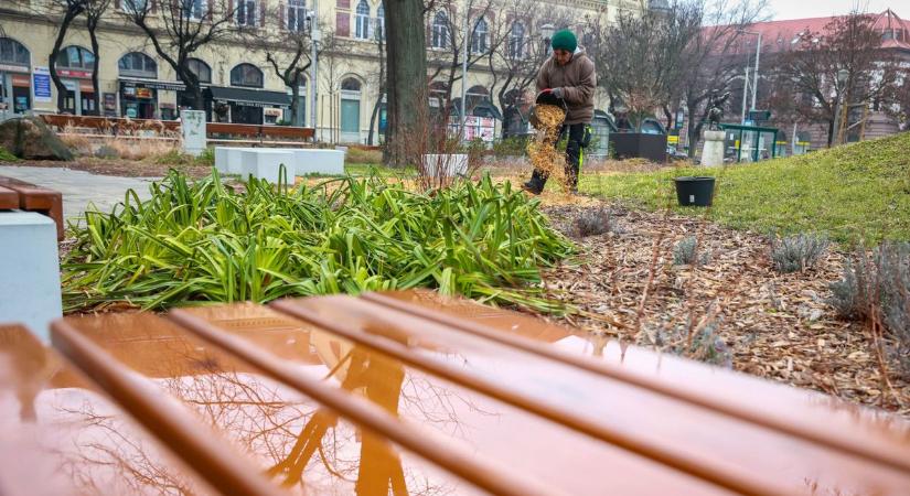 Egyre látványosabb a változás Szekszárdon – Ön észrevette már? (képgalériával)