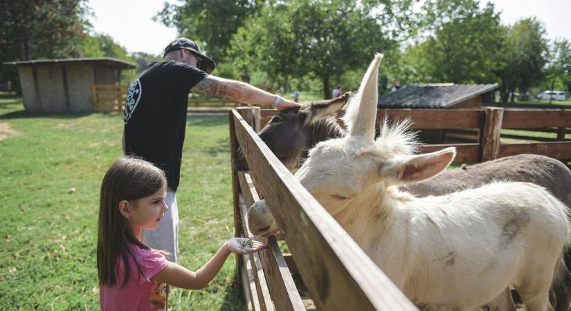 Az állatok oázisa megnyitja kapuit Hatvanban