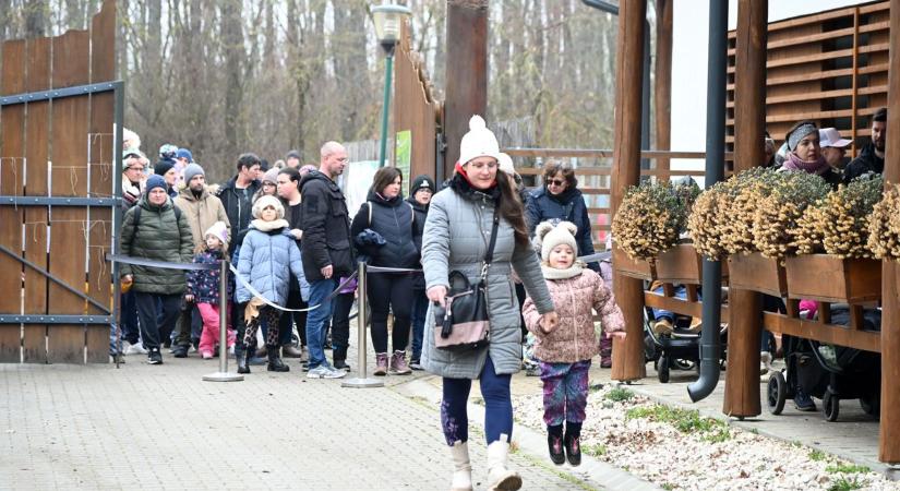 Kígyózó sorok a nyitónapon: ez most Szolnok egyik legtrendibb helye – videóval, galériával