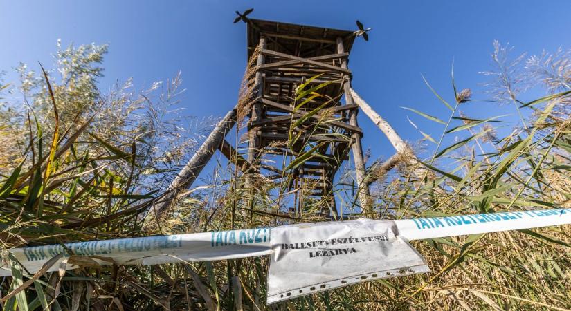 Állapota miatt el kellett bontani a tatai kilátót, a hódok a fő felelősök