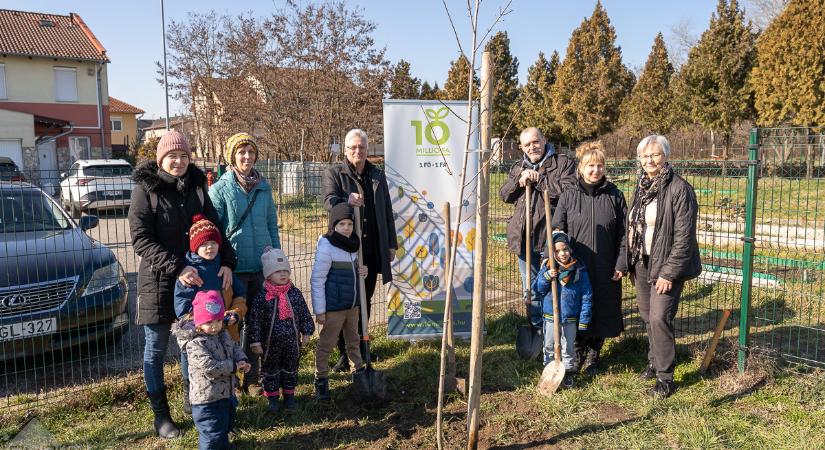 Faültetéssel indult a tavasz Győrben