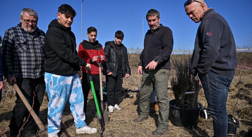 Bővítették az egri Miyawaki-erdőt - videóval