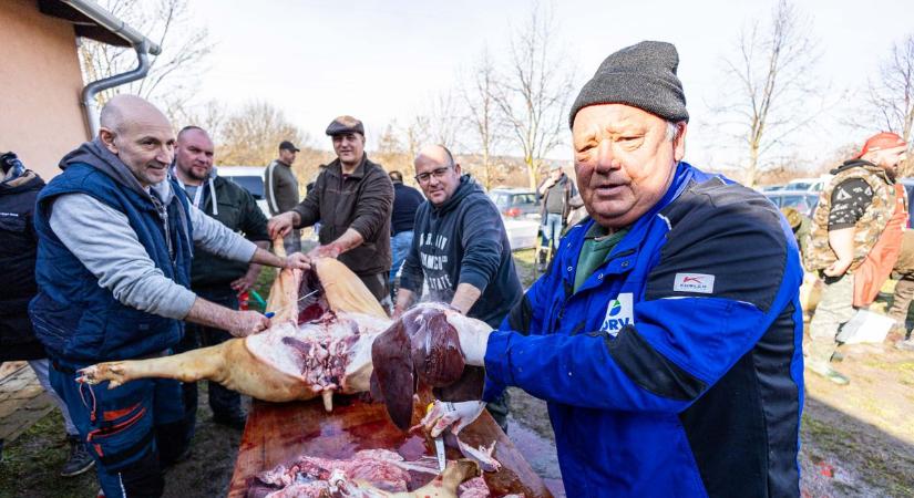 A malachúst páclével, a bölléreket fogópálinkával szelídítették meg Kőröshegyen