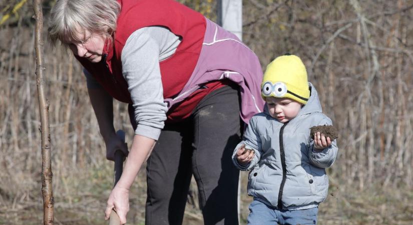 Árnyékot és otthont adó fák – sikeres faültetési akció Lovasberényben (fotógalériával)