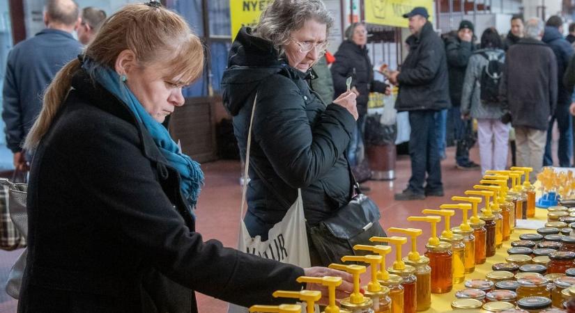 Méhészek tartottak országos találkozót a VOK-ban