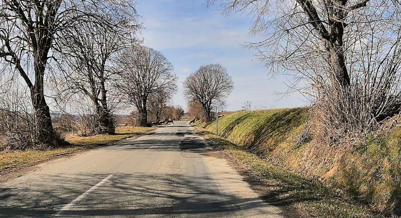 Videó: időben állt meg az autós a vonuló szarvasrudli előtt