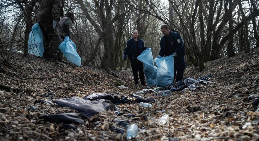 Százával gyűltek a szeméttel teli zsákok a migránsok útvonalán lévő ásotthalmi erdőben