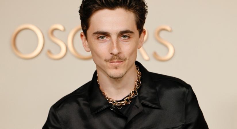 Egyértelműen Timothée Chalamet volt az Oscar-gála legvonzóbb pasija: a 29 éves szívtipró igazán kitett magáért – Fotó