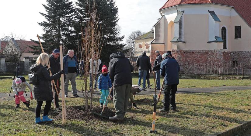 Fát ültettek Körmenden: unokáink is látni fogják - fotók