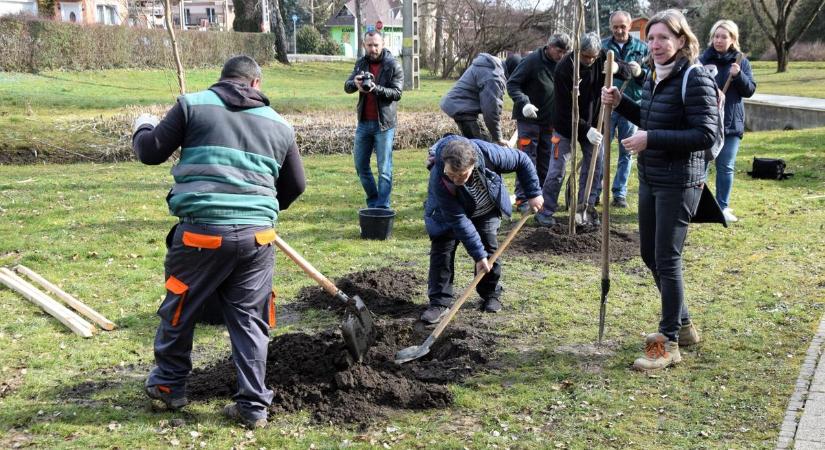 Legyen ez a nap a faültetésé