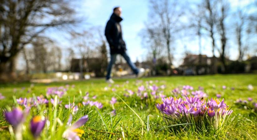 Orvosmeteo: beköszönt a tavasz a héten