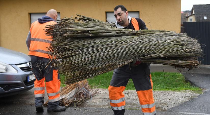 Zöld utat kap a zöldhulladék a Balatonnál