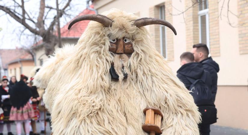 A busók valóban elűzik a telet, emellett még menők is