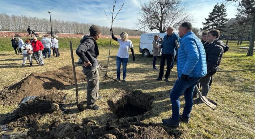 Faültetéssel a tisztább levegőért – összefogás Szolnok zöldebb jövőjéért