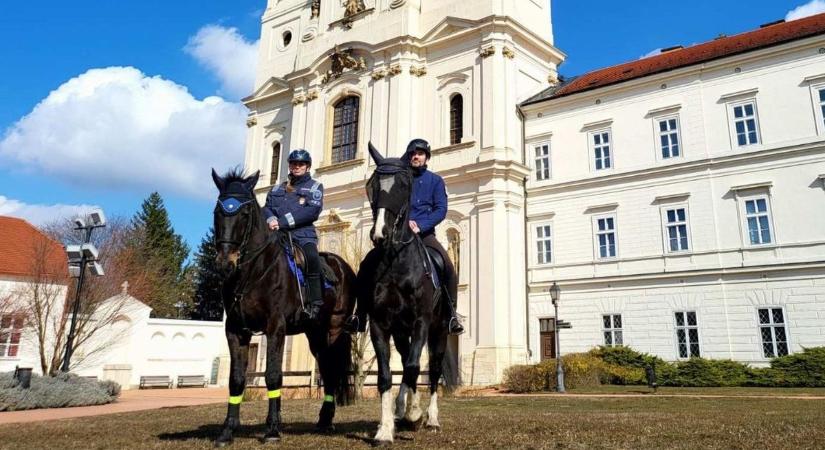 Farsangi járőrözés a Bakonyban – Ilyet a zirci apátság udvarán még nem nagyon láthatott (videó)