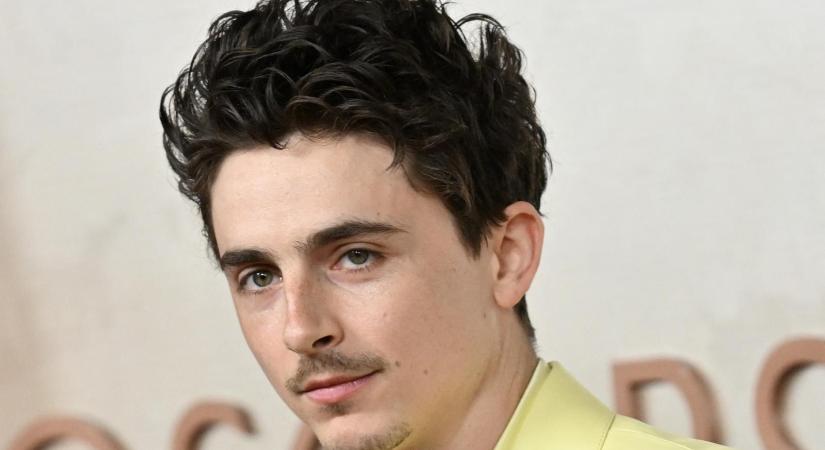 Timothée Chalamet a Népszavának: Mi értelme lenne nagy költségvetésű karaokét rendezni?