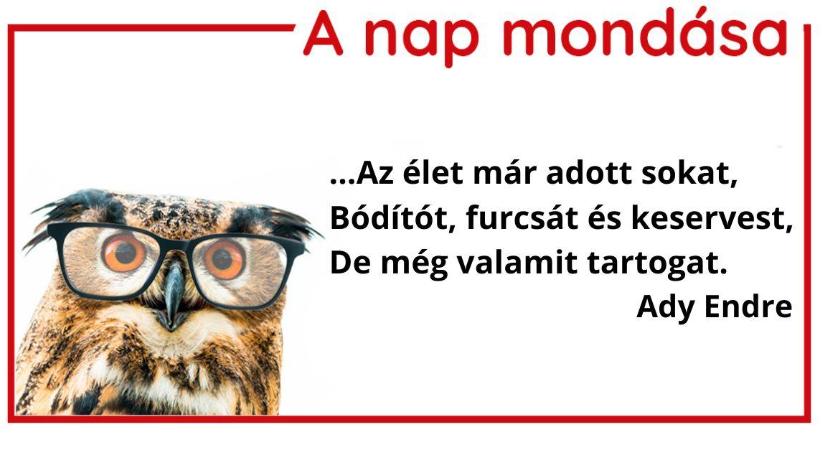 A nap mondása