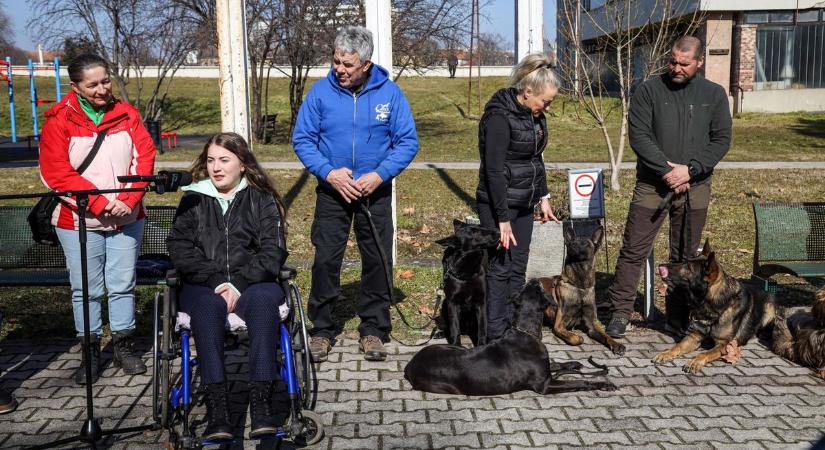 Kutyusok, gazdik: irány a Liget! – áprilisban remek kutyás program lesz Szolnokon