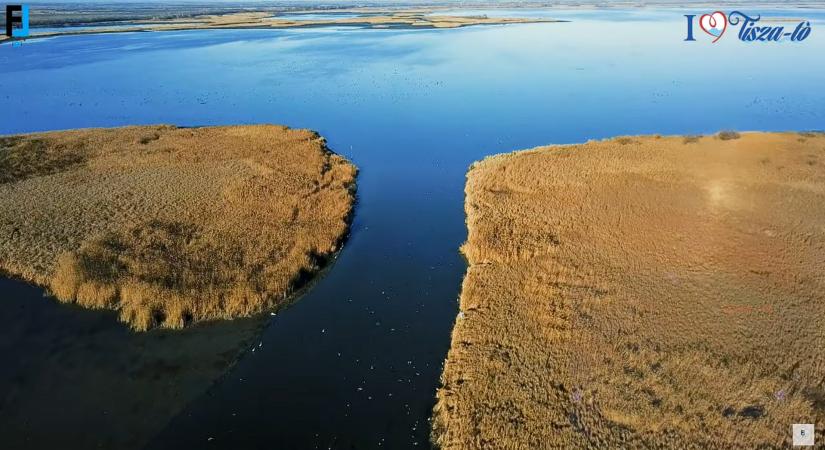 A Tisza-tó ismert területén járt a drón - VIDEÓ