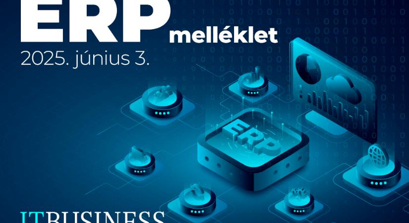 ITBUSINESS Erp melléklet ’25